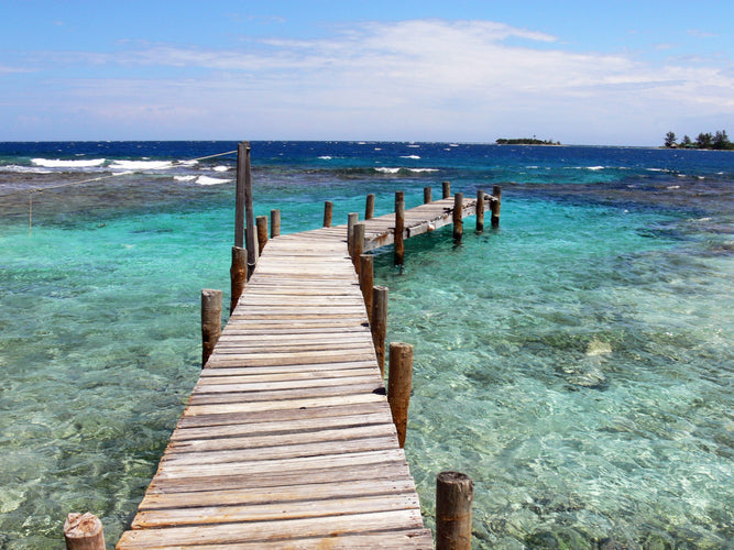 Deserted Islands & Jungle Romance